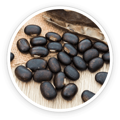 Mitolyn  Ingredients 